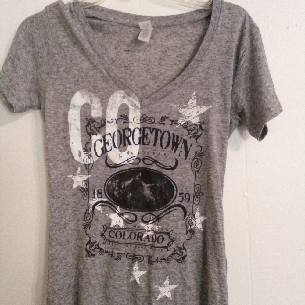 Used large gray V-neck t-shirt by Salt Creek
